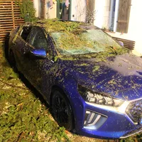 bild1.jpg