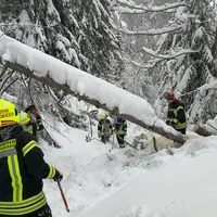 img_20190115_100136.jpg