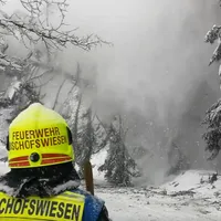 bischofswiesen_baum_gefaellt.png