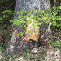 img_9316.jpg