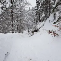 img-20190113-wa0011.jpg