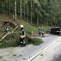 bild1.jpg