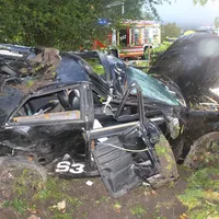 bild1.jpg