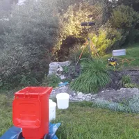 20190919_190448.jpg