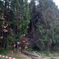 img-20171029-wa0016.jpg